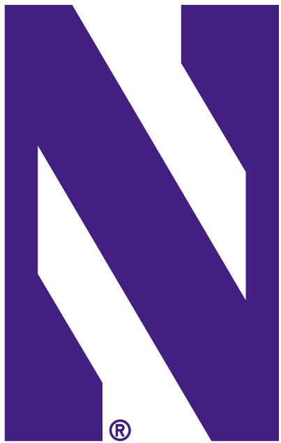 Northwestern Wildcats 1981-Pres Alternate Logo v4 diy iron on heat transfer